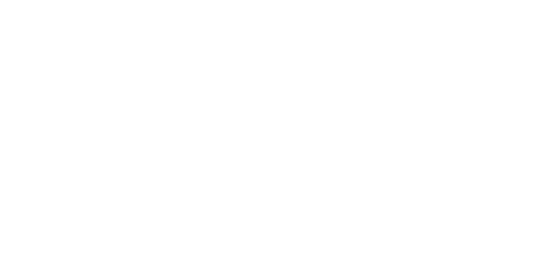 Projekte - da Vinci